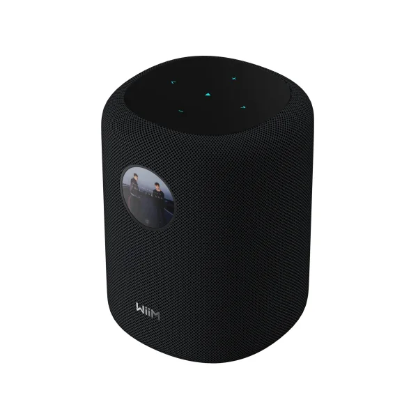 WiiM Sound Smart Speaker schwarz