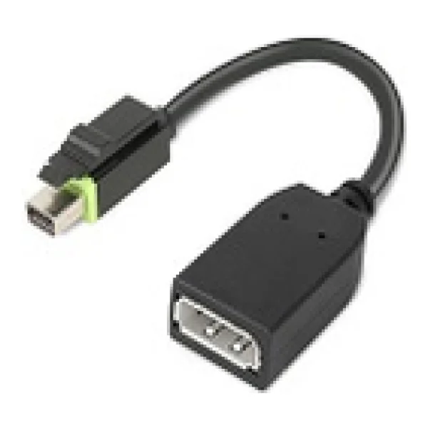 Lenovo - DisplayPort-Adapter - Mini DisplayPort (M) bis DisplayPort (W) - für ThinkStation P310, P320, P410, P510, P520, P700, P710, P720, P900, P910, P920