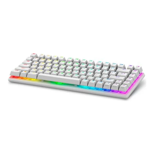 Alienware Pro Wireless Gaming Keyboard Tastatur USB + RF Wireless + Bluetooth Weiß (PRO-KB-W-WW)