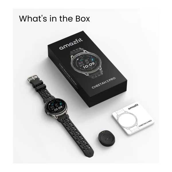 Amazfit Cheetah 2 Pro Smartwatch 48mm titan (W2563GL1N)
