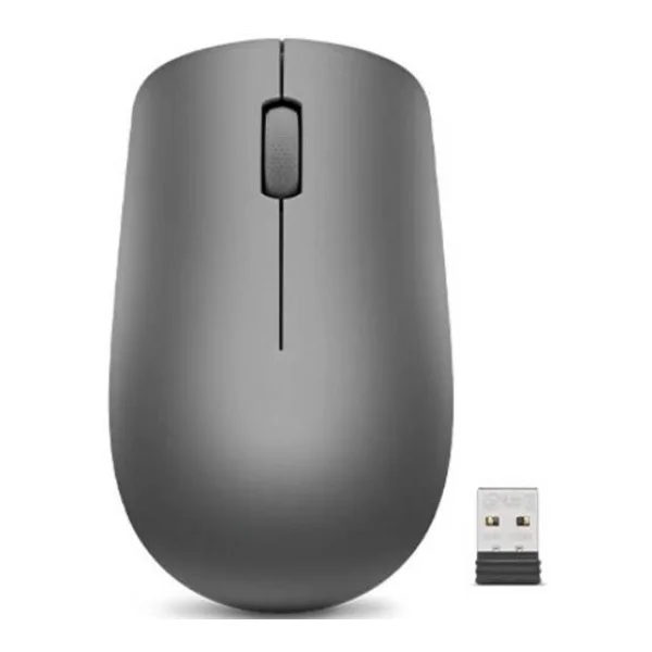 Lenovo 530 Maus Funk Optisch Schwarz 3 Tasten 1200 dpi