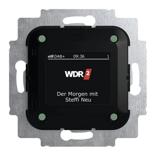 Busch-Jaeger Einsatz Radio 2CKA008200A0275 1 St.
