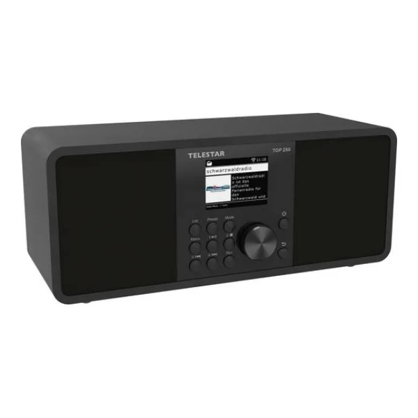 Telestar TOP 250 Schwarz Internet Kofferradio DAB+, Internet, UKW Schwarz